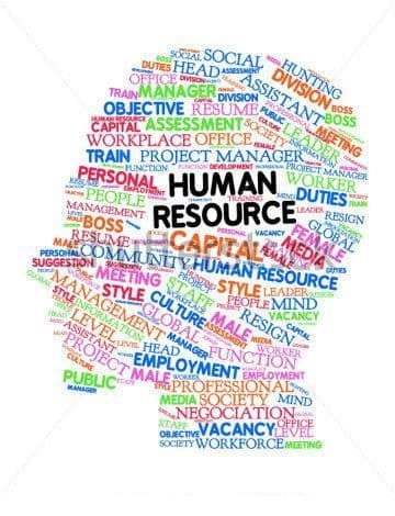 Step-Up HRM Q4 Solutions