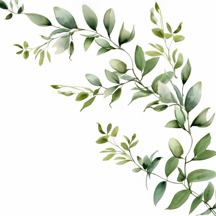 Multi-Branch Companies